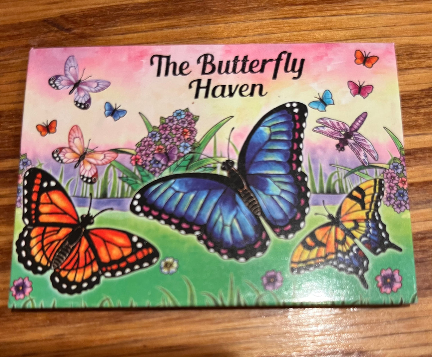 Butterflies in Field Magnet
