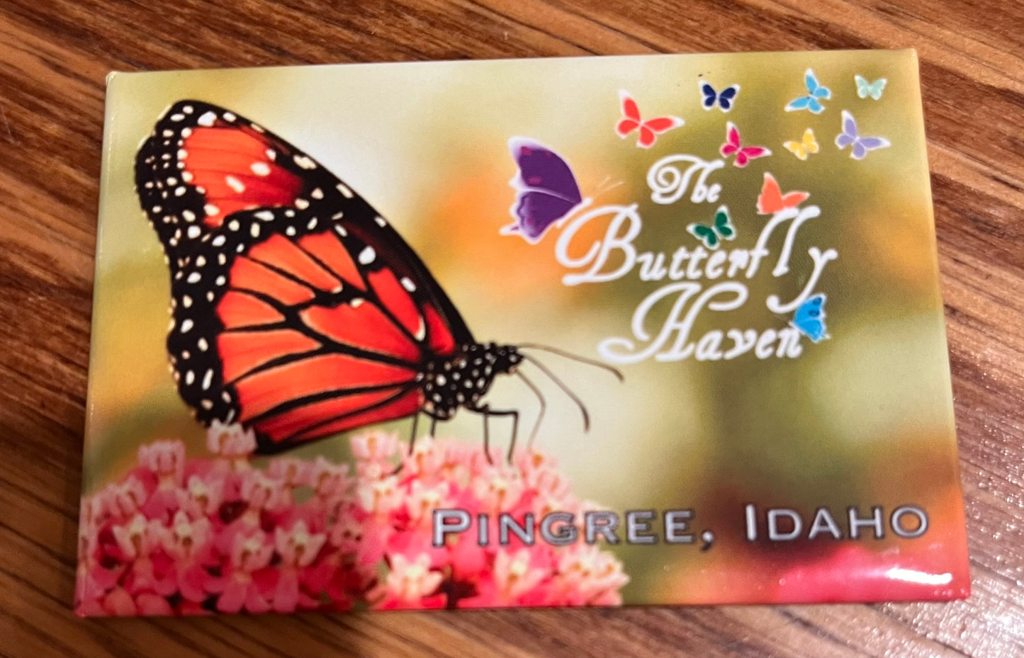 Butterfly Haven Magnet
