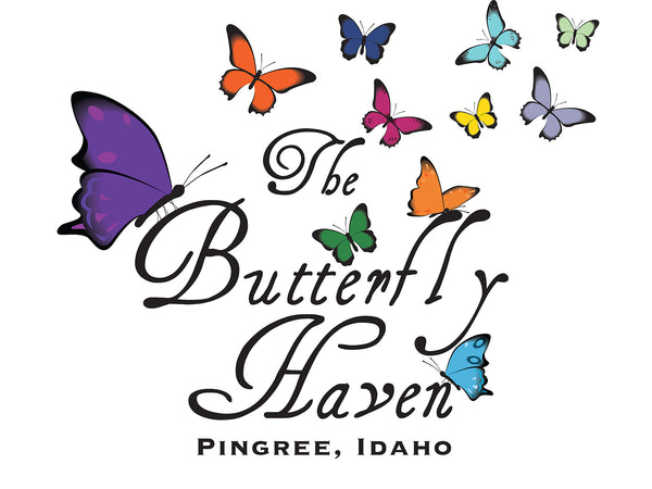 The Butterfly Haven