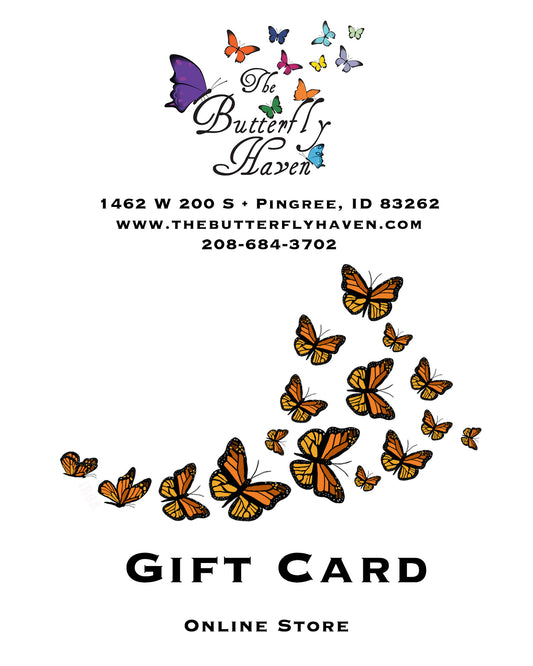 Gift Card - The Butterfly Haven